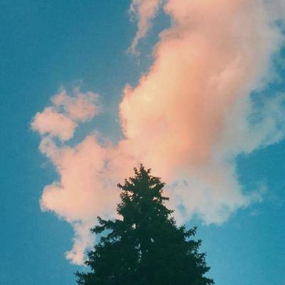 im电竞平台手机app下载