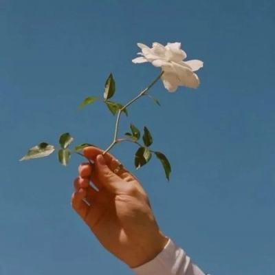 ng体育电子游戏下载手机版