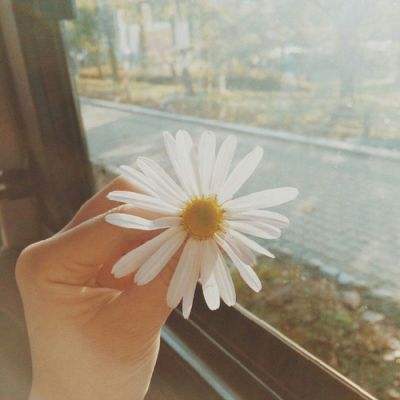 爱游戏ayx手机版登录入口