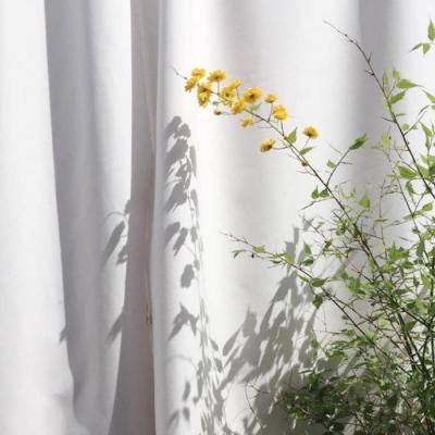 星空下载站官网手机app下载